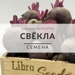 Свёкла