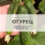 Огурец