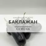 Баклажан